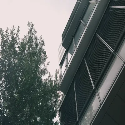 Contrary to popular belief